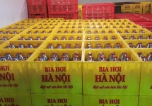 Bia Hà Nội – Hơi men của mùa, hương vị của ký ức.