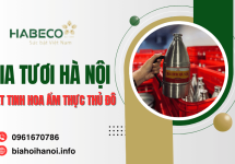 Bia tươi Hà Nội – Nét tinh hoa văn hóa trong từng giọt men